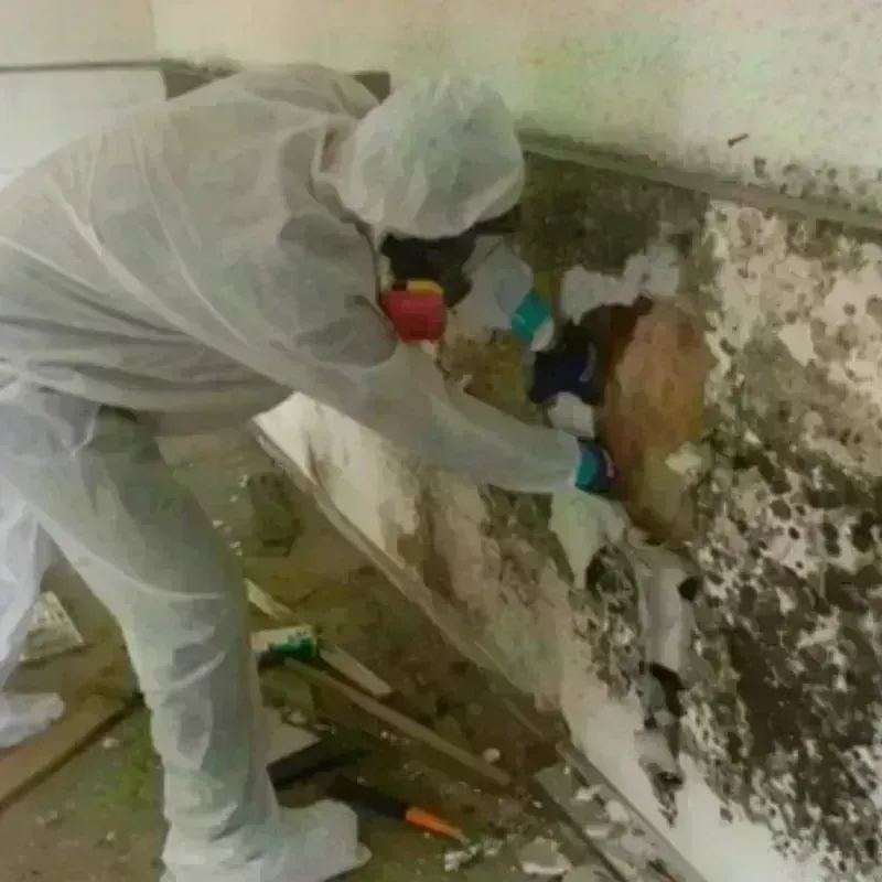 Mold Remediation and Removal in Somers, WI