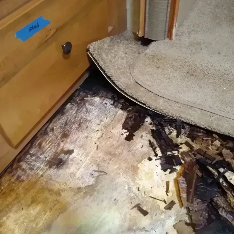 Wood Floor Water Damage in Somers, WI